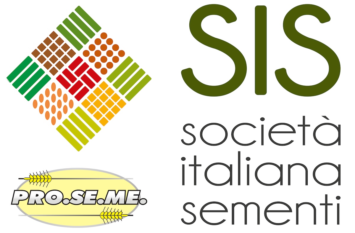 sis (1)
